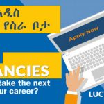 Lucy Jobs Admin